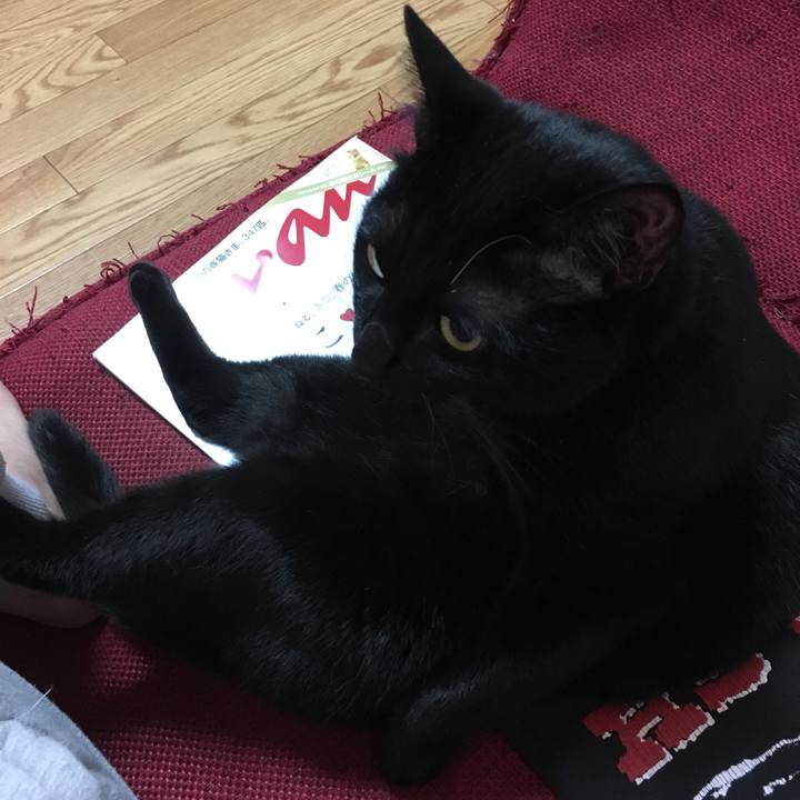 B01bdc7d 53cc 4236 9a78 e8216071882d