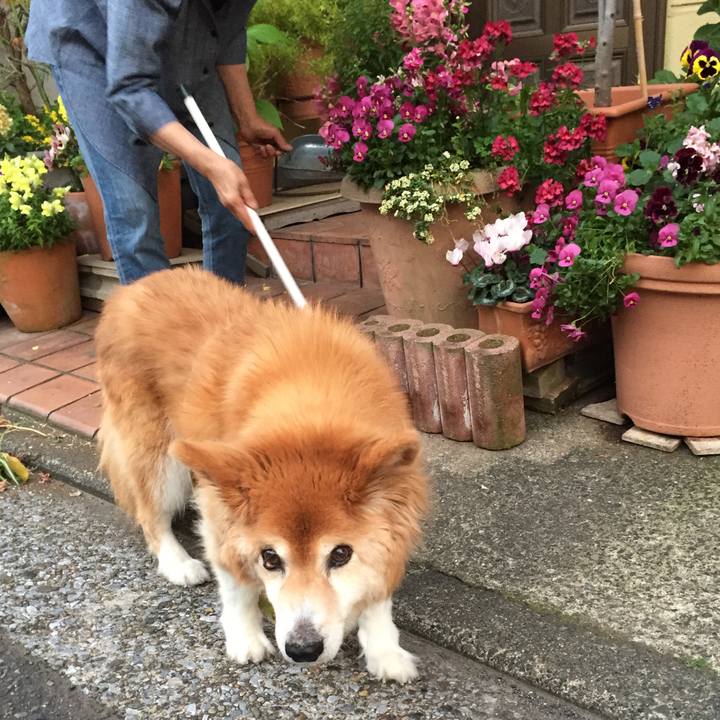 B01c0b7a 315f 451a 9c35 c355d6f7f6b9