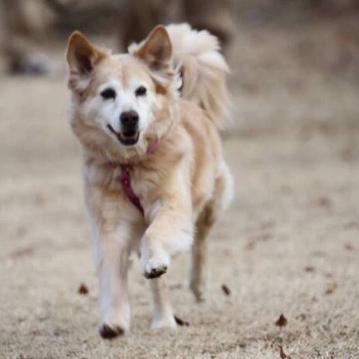 B01c9363 cc36 499a 983b 749536d3c87d