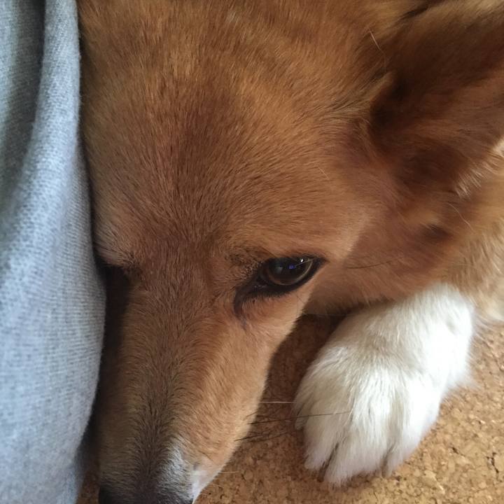 B01cb929 8847 444a 9047 cb8c43b5319e