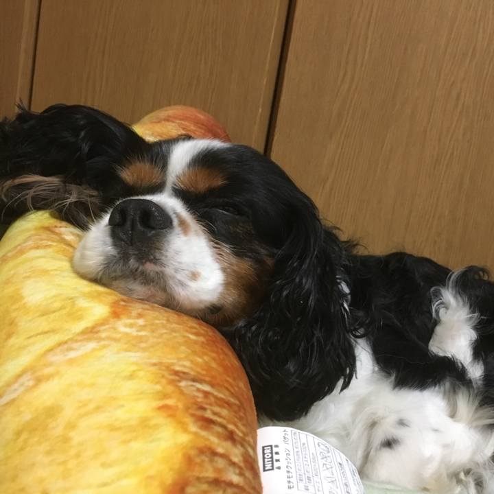 B01cf588 05e3 476a 8af4 d75271e18ad8