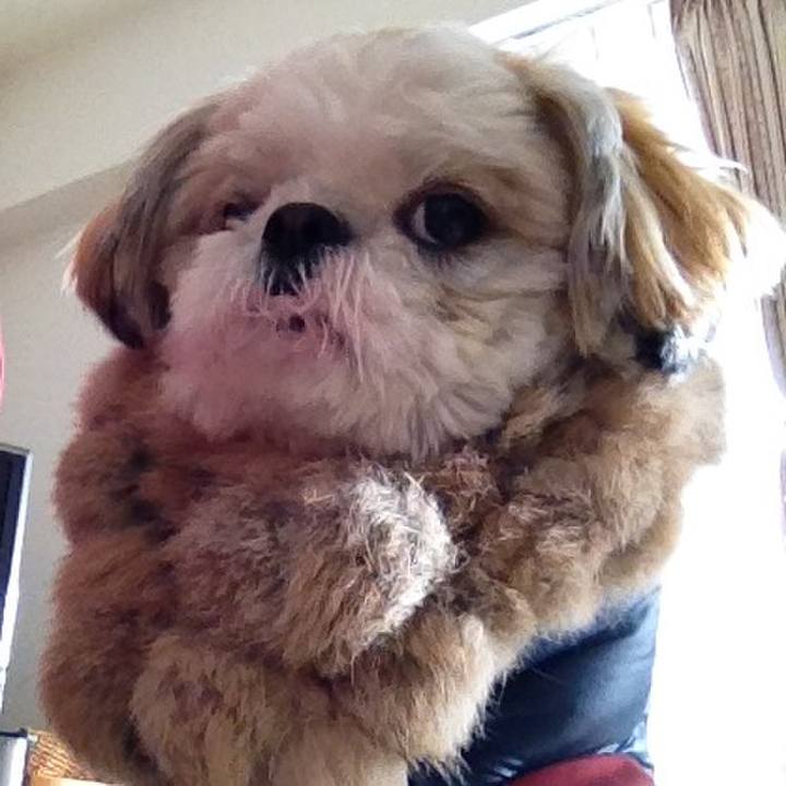 B01e5c43 5125 414d 9bfa b98da116c929