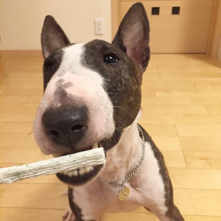 B01ed323 351d 4063 a0a5 63fa590cc6fa