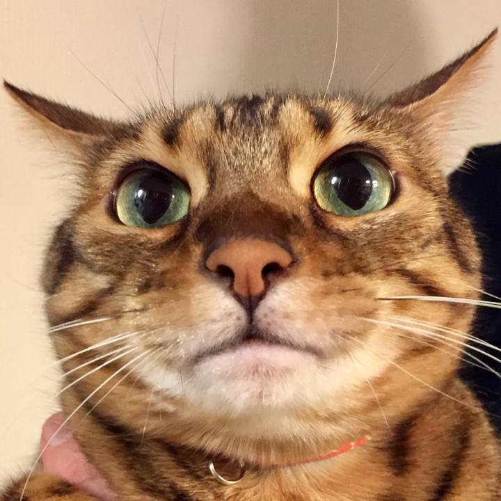 B01ff785 9f77 48b0 8f92 11d6d003f204