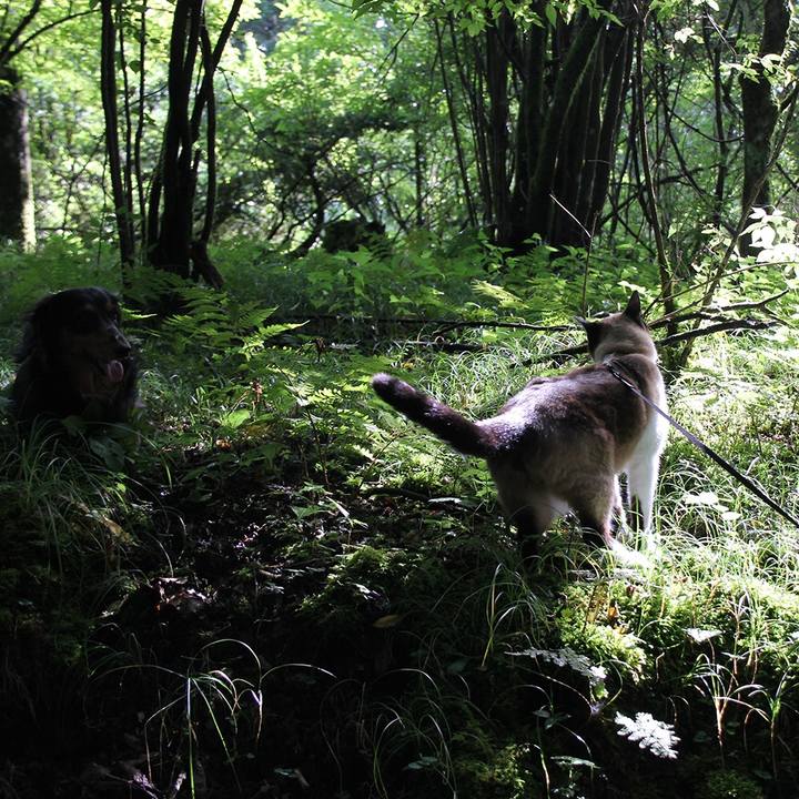 B02002c4 98c7 48b9 b8dc 05f8bc81283c