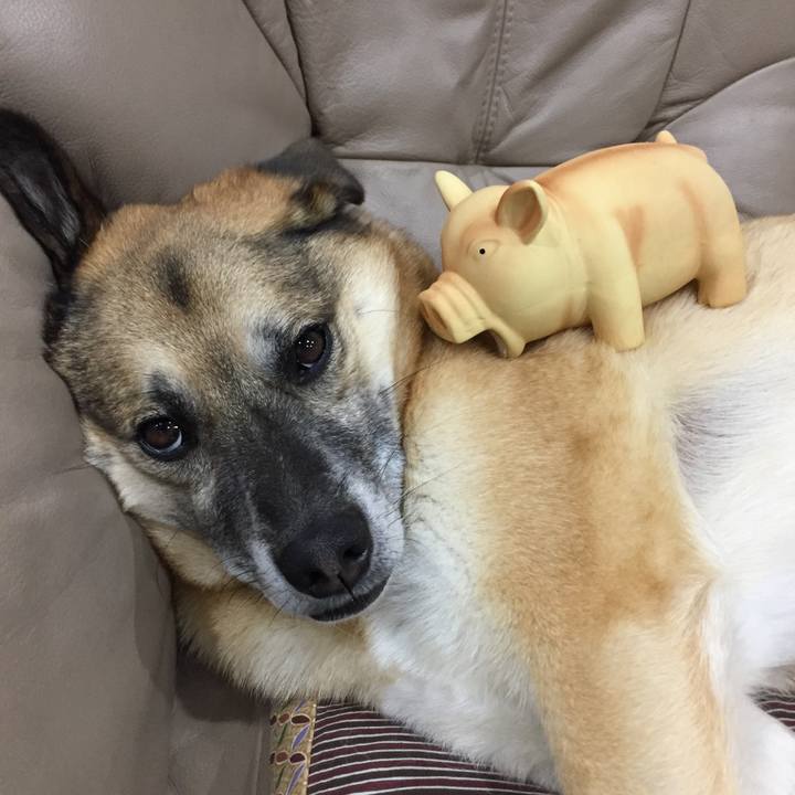 B0201a77 98e8 4e83 812b 222cdc290511