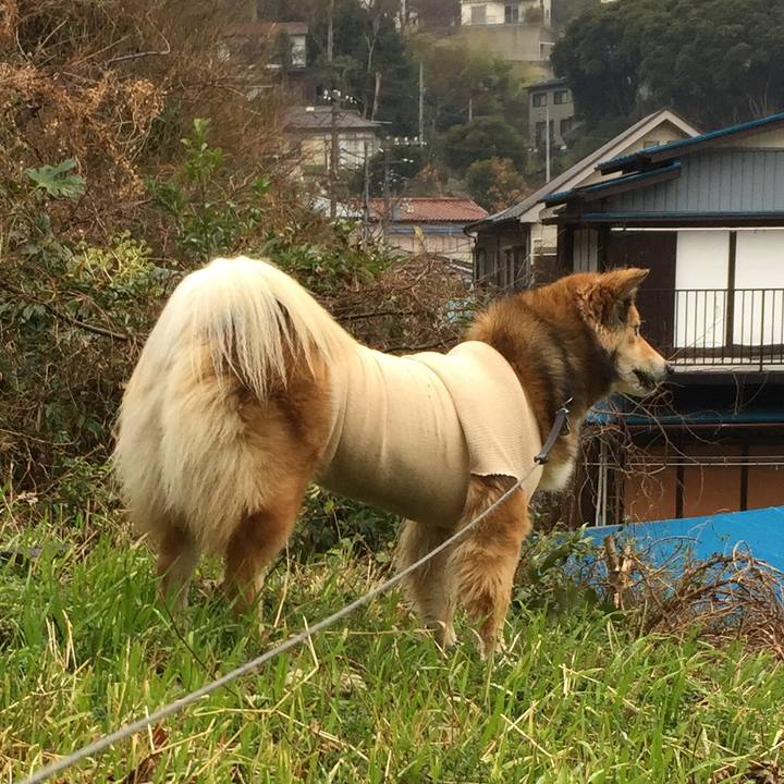 B0203509 ba78 4d65 a234 371437f6b6fb