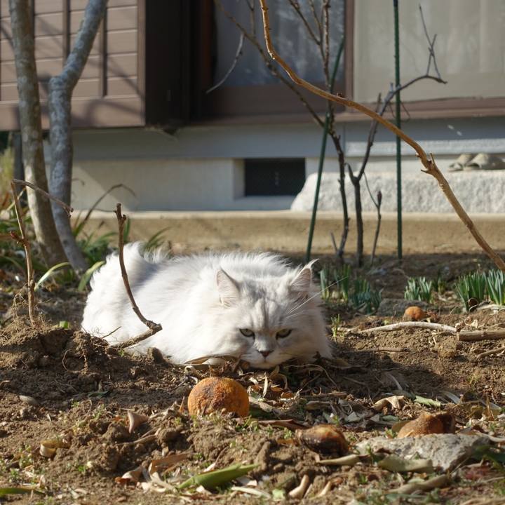 B0206255 000d 4bd5 b16b 91ea11e39f53