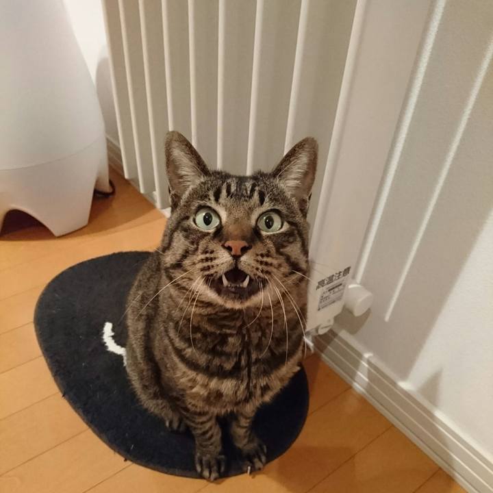 B0206d22 665d 480f b0e8 5445adb2c9a4