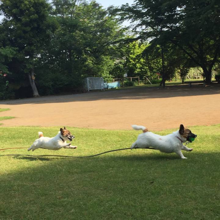 B021703e 0697 4546 8751 e5c214ffebeb