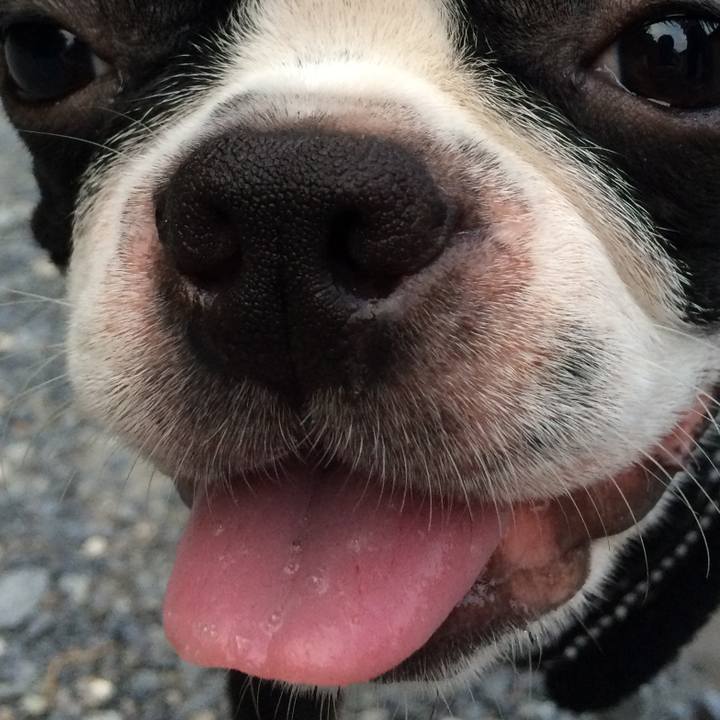 B0217911 44c7 4cc9 9f83 ddf01bacaf7b