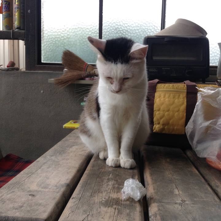 B021b5b1 c5e1 4c33 9079 9b9e47825e43