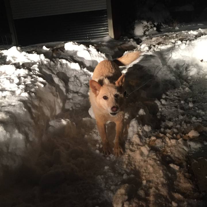 B021ba9e a5d1 4de8 82ac 02cc4757d360