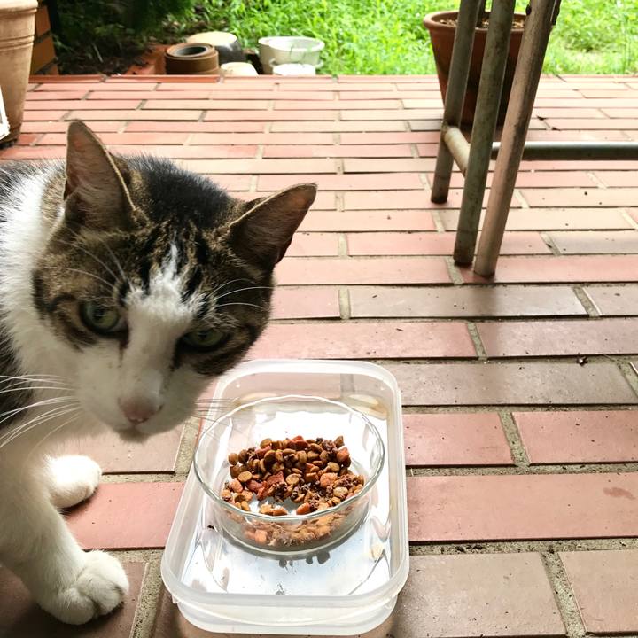 B021c437 8033 4ee9 a9b6 bc612e9a9c4c