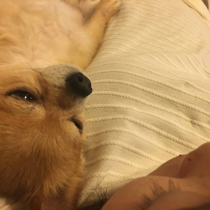 B021fb83 4a70 4dca 949f 95c7acfc49b2