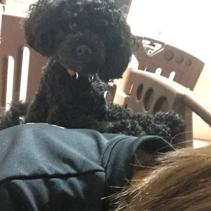 B022400f 4da1 4a62 afb0 cd756a2ada13