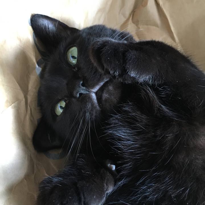 B0235b5b b0a5 4c99 b700 0de911f381d2