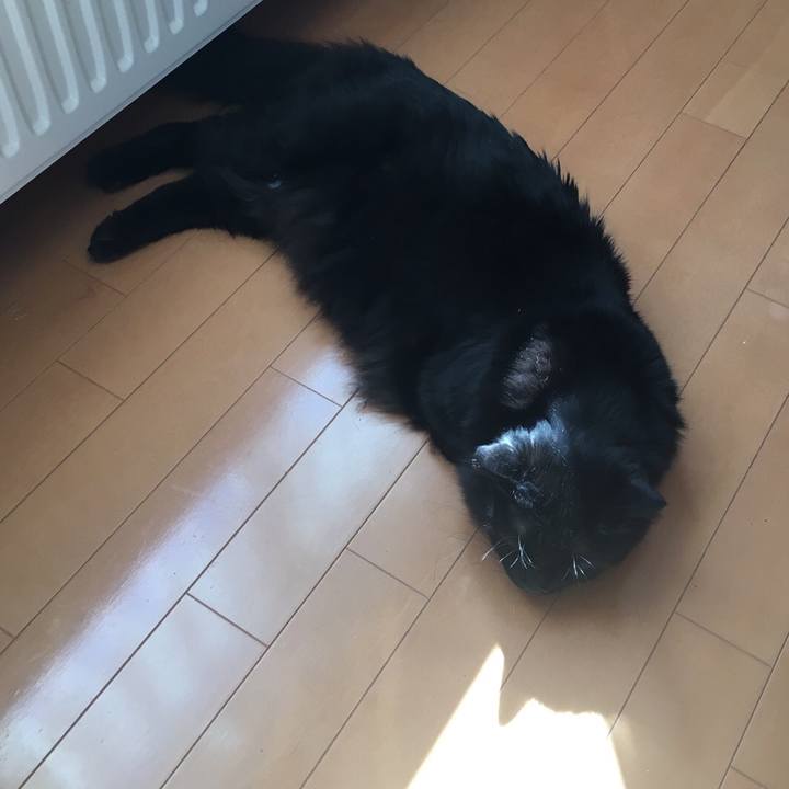 B023eccb b5b8 418e 9c60 11db092a93bf