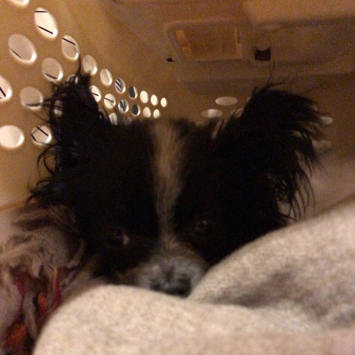 B02442bb adaa 4a8b 9f66 77c610439614