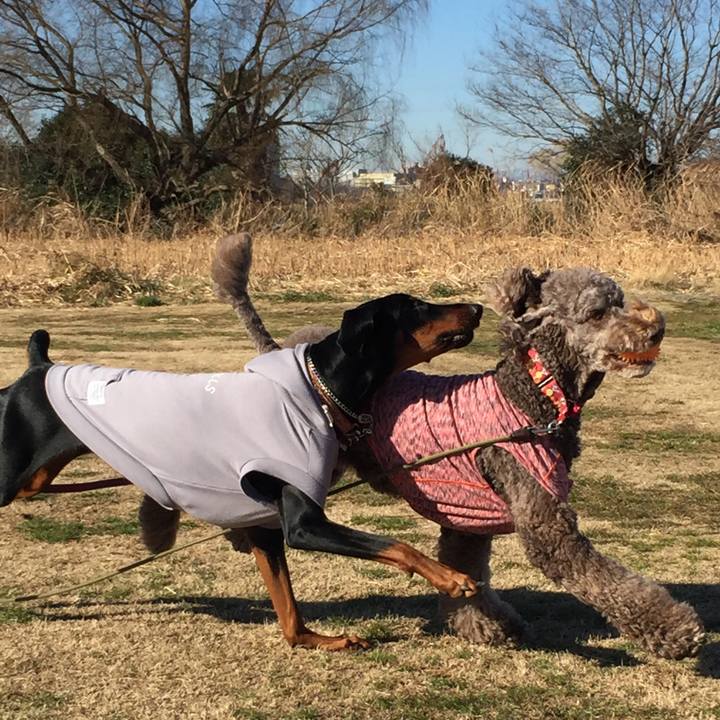 B0247ae9 7243 42cb aef0 9ca9b68f05b2