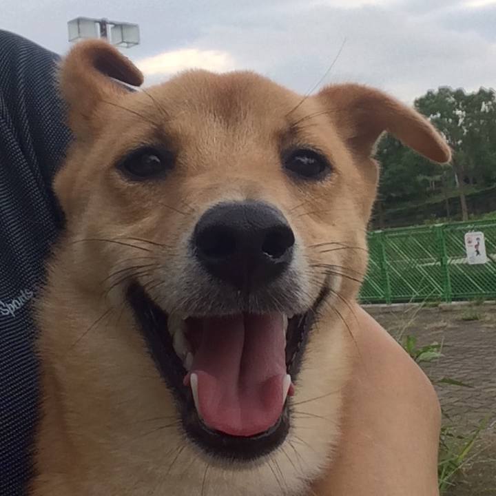 B02481d5 ab4b 4313 a757 fa8d2a82f1f1