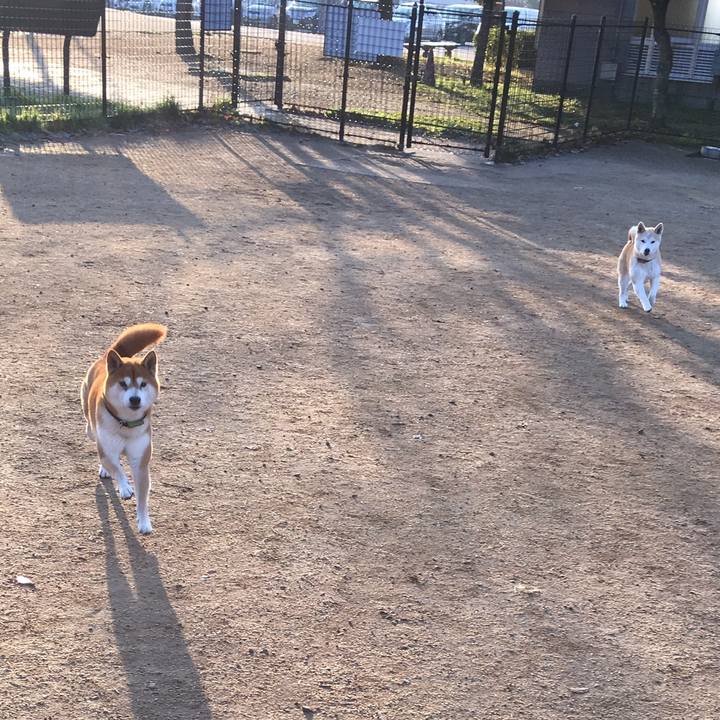 B02482d3 9fce 4884 9d55 80e96f35bcb1