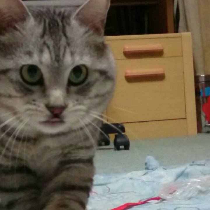 B024e6e4 3ec7 4e21 ba7a a9656af78af6