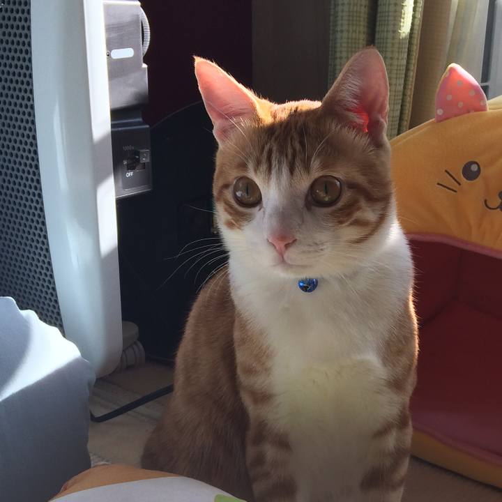 B02506a7 c0e6 4f9e a039 9f31240e1ba9