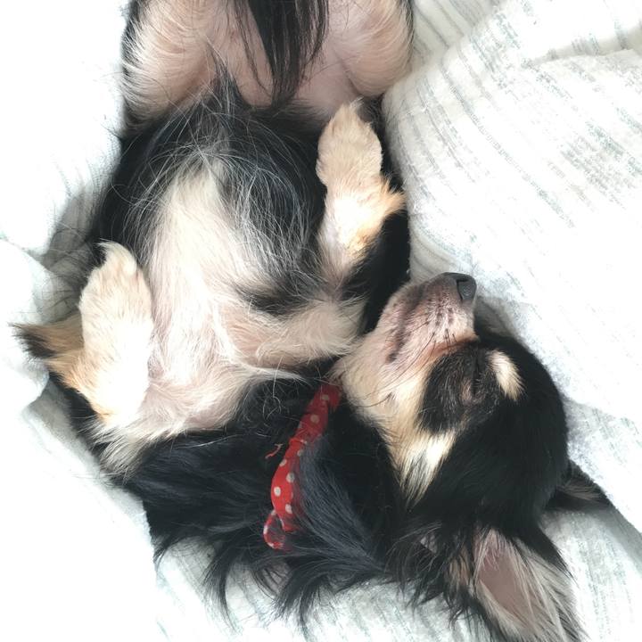 B0250f48 d95b 440a 8335 751d3519119d