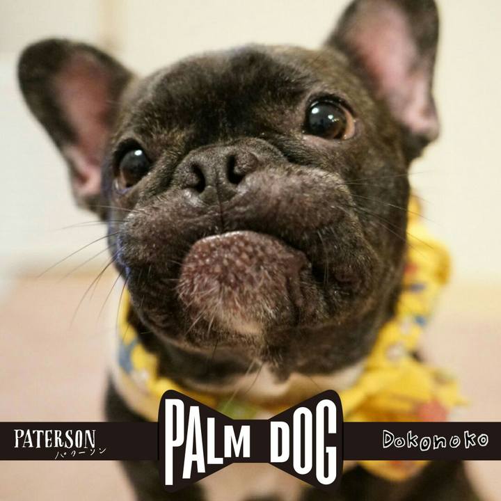 B02533ee 65fa 48b3 a6ed 46c819a03c3f