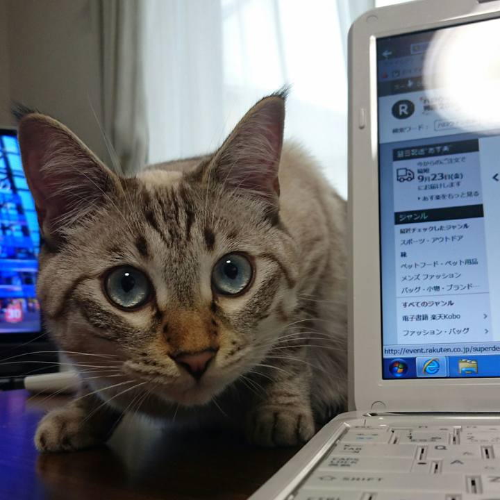 B0269c60 3cfe 4ad5 932e fe23e4958491