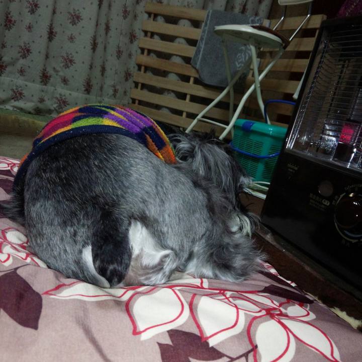 B026c3fa 0bdc 408e a35e e49e9ef3354a