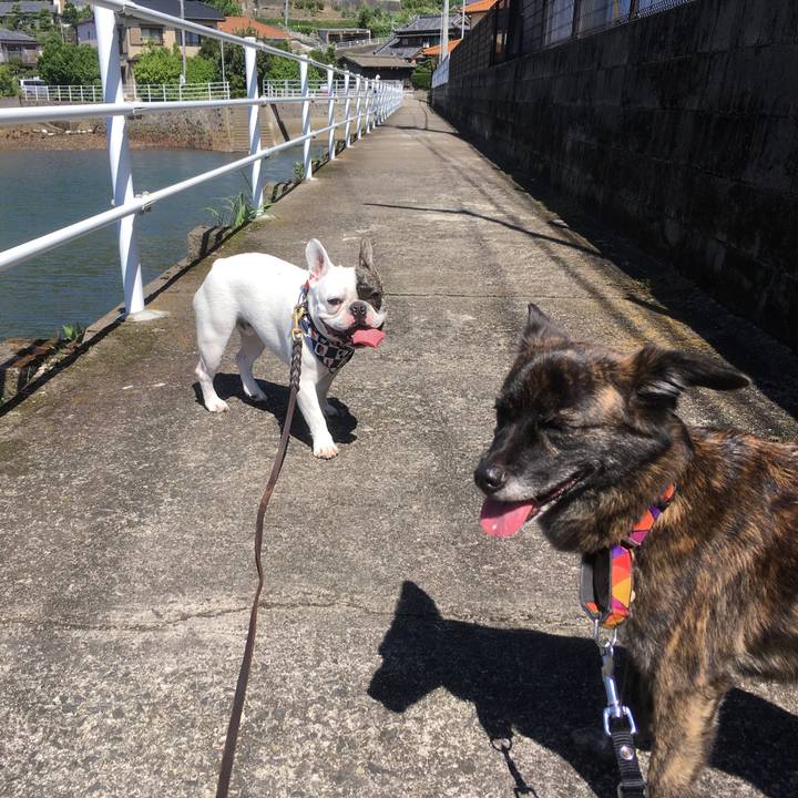 B026dea5 ee6b 41db ad9e 0933b028ddb5