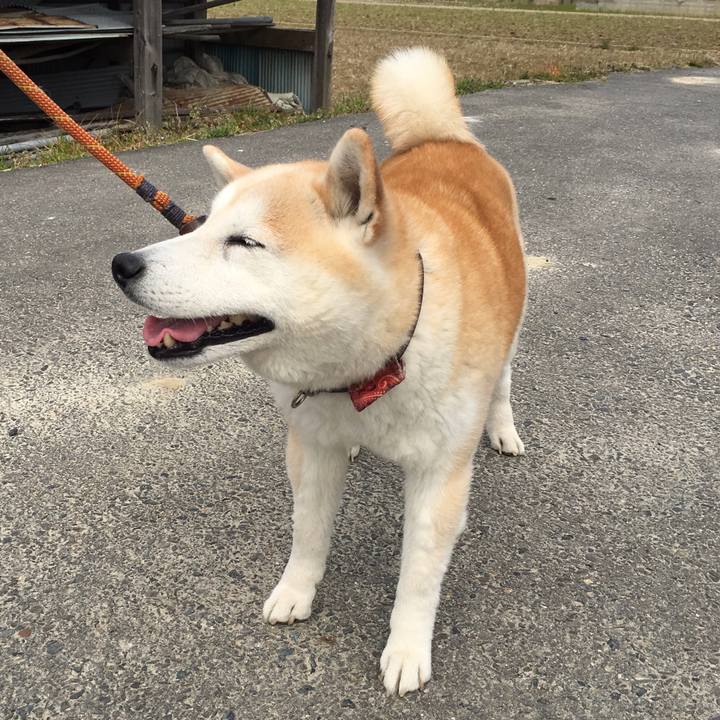 B026e12f 31c7 407c 97b3 4cb7e26cd017