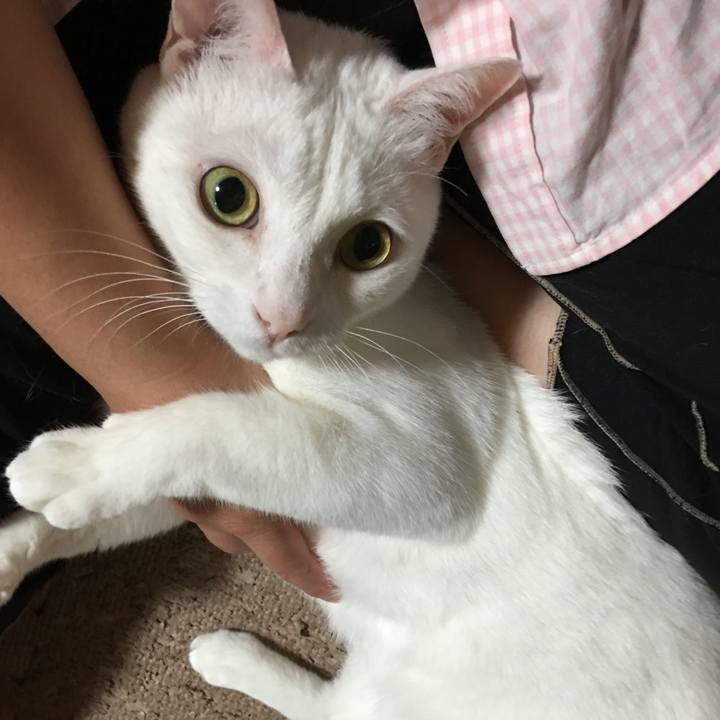 B0270459 70f6 46b5 9d61 a17c43710ccd