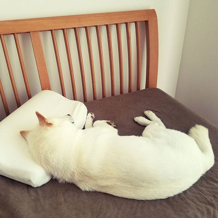 B0279a7c b869 4301 86c4 7fb79a66266b