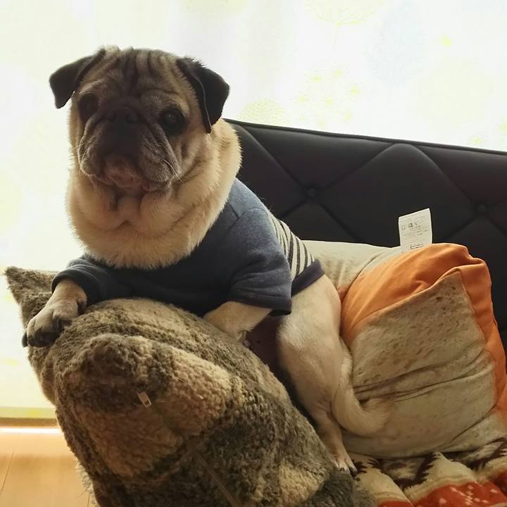 B027d892 6237 4ef9 9ac8 5883299b598d