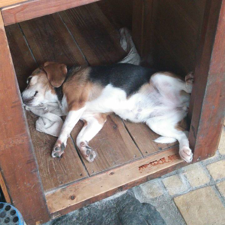 B028f835 a78a 45a0 be9f 5e48c59bcc77