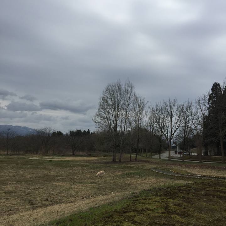 B0292c71 6be1 48ed a4d4 5b5635702d08