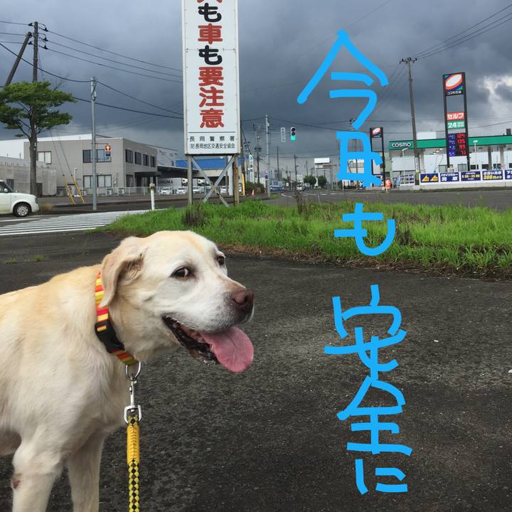 B029b9ab 36db 46b9 a4a4 38d68e1c869f