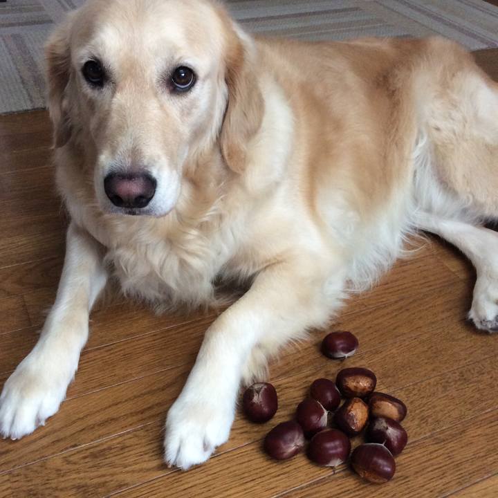 B029cf41 c443 4599 9098 9a14975198a2