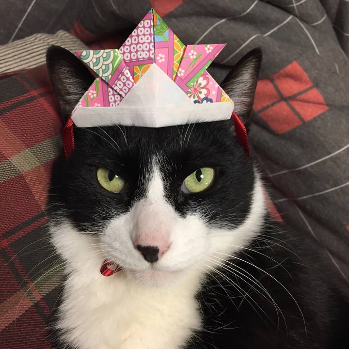 B02a739c f29f 4204 b90d e920ec0fdc1a