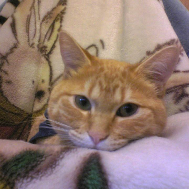 B02b59a3 108e 484a b567 7ebb29d78aa0