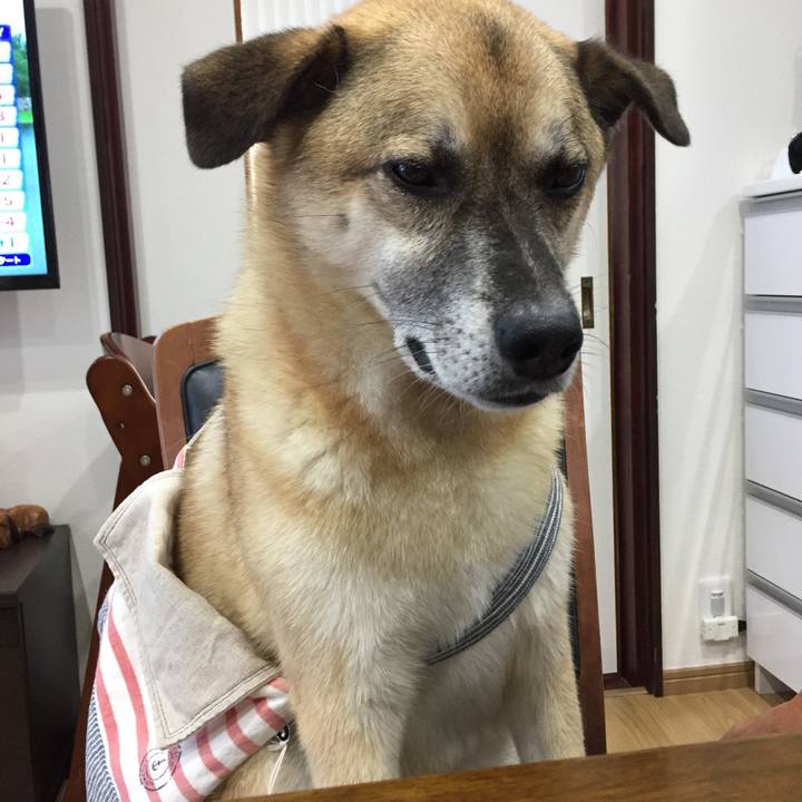 B02b5af7 a804 4c62 9195 ba71d92d99ae