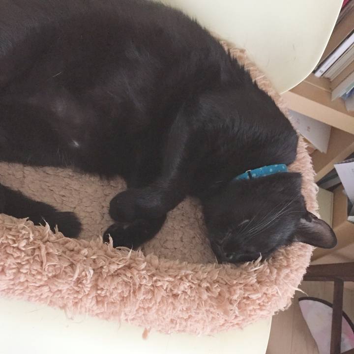 B02b5e13 7df9 48bf a7a8 6a33e6271106