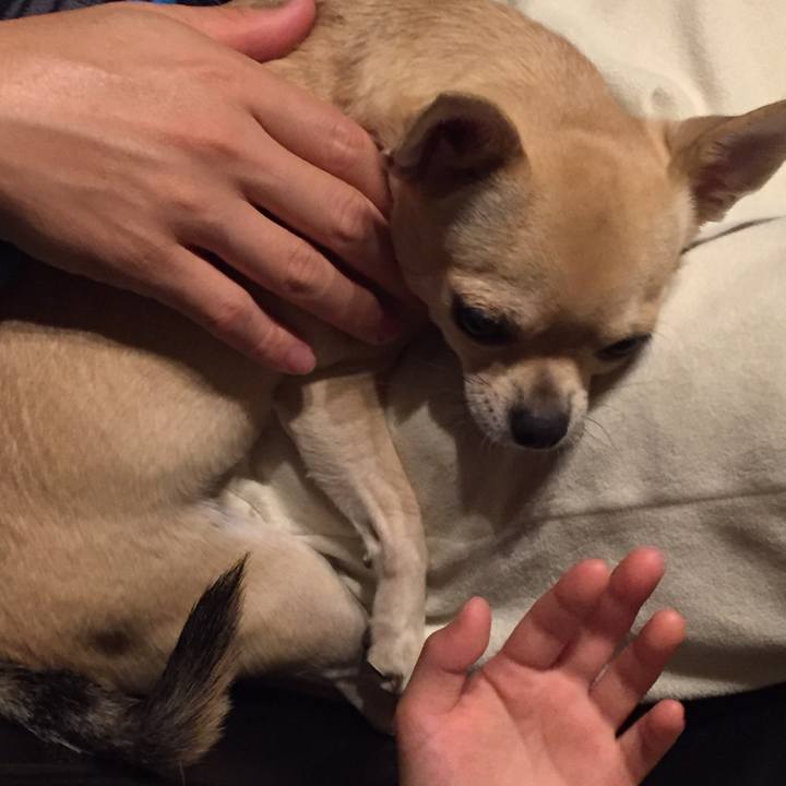 B02b5e77 efc1 40c9 a782 33838925b35d