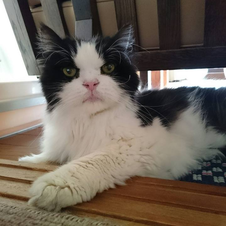 B02bc55b 861a 4160 b2ca f3590b2f8c84