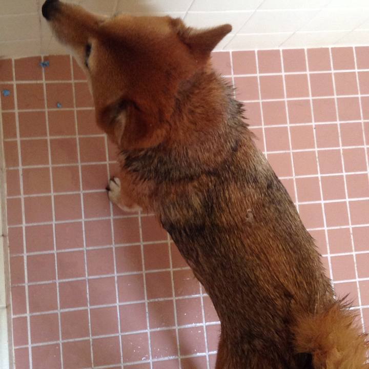 B02bcb13 e79e 4b8a bf57 864e5f4632a0