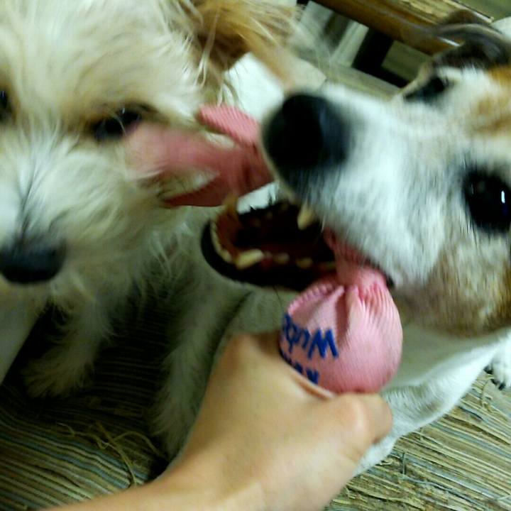 B02c3caf 7cb6 4dd0 a3c4 6a2a652bd619