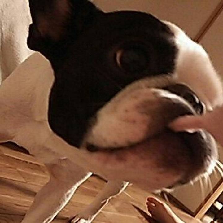 B02ce13b 7583 47a7 ab4c b6092dc87619